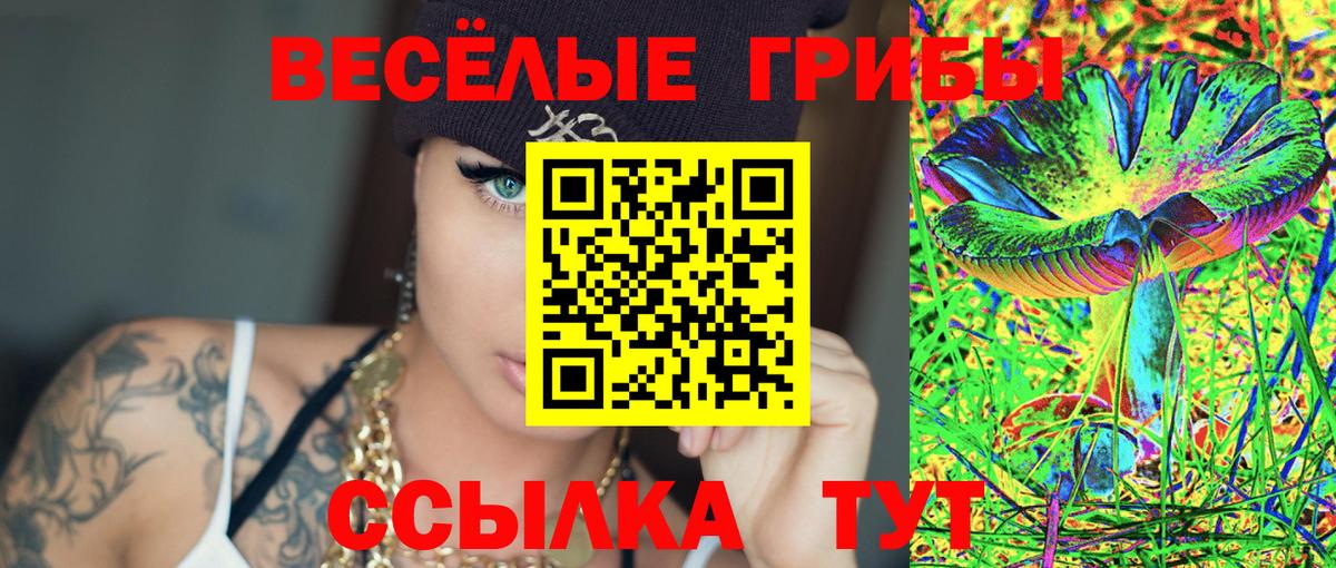 сколько стоит  Галлюциногенные грибы Magic Shrooms  Вход с VPN  Псилоцибиновые грибы мицелий  Заводоуковск 